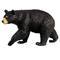 Safari Ltd® Black Bear